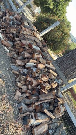 Oak tree fire wood