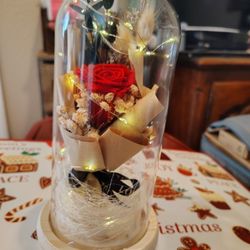 Valentine Light Rose 