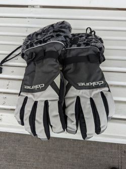 Dakine Gloves (M)