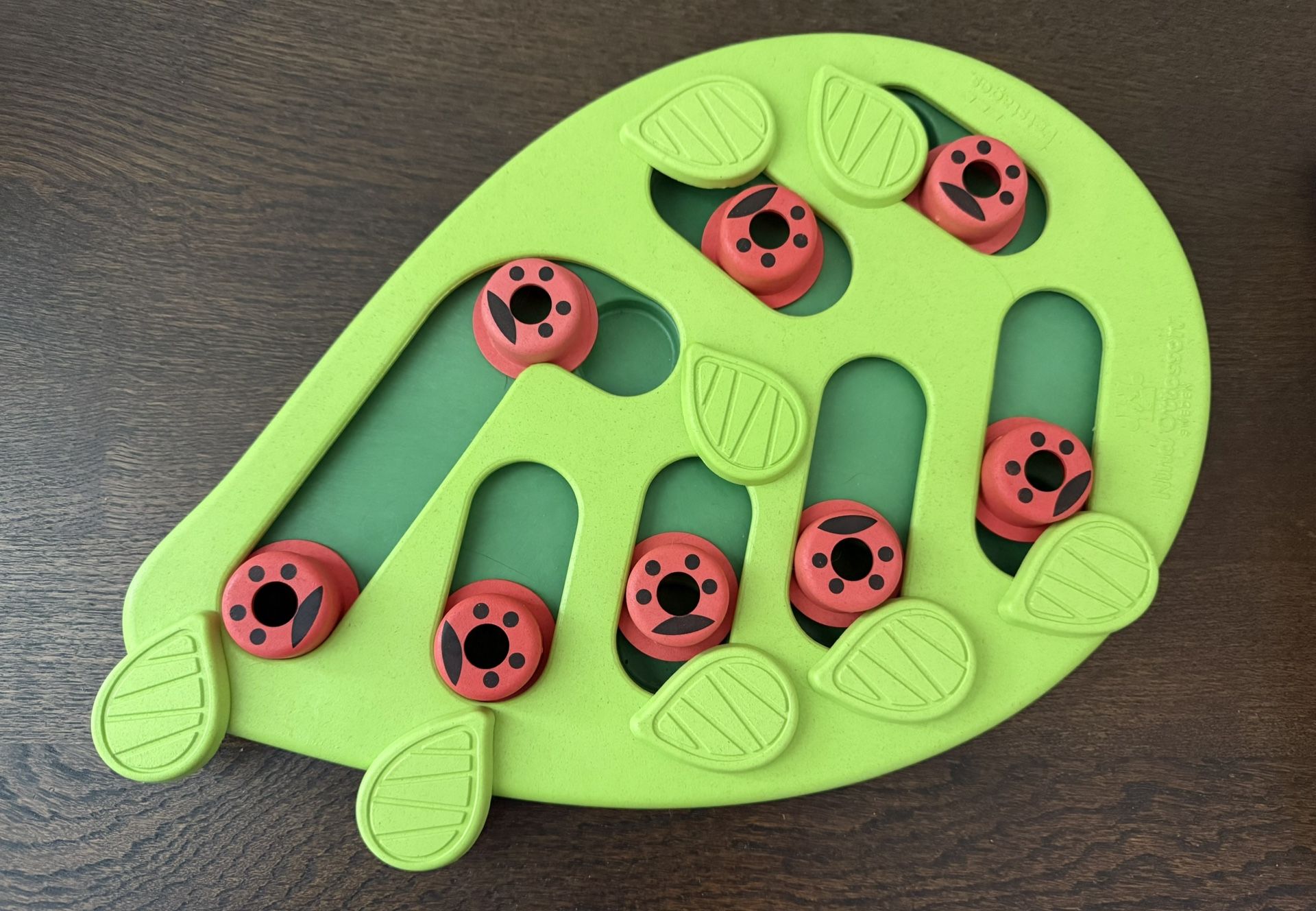 Green Leaf Cat Puzzle Toy