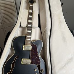 Gator Double Case Acoustic & Electric