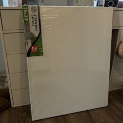 Daler-Rowney Simply Stretched Art Canvas 2 Pack