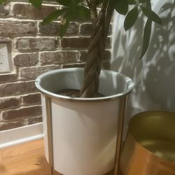 Brass And White Planter