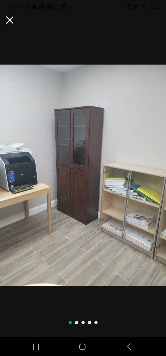 Ikea Borgsjo Bookshelf w/ Glass Doors