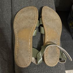 Women’s Sized 5 Saltwater Sandals (Olive)