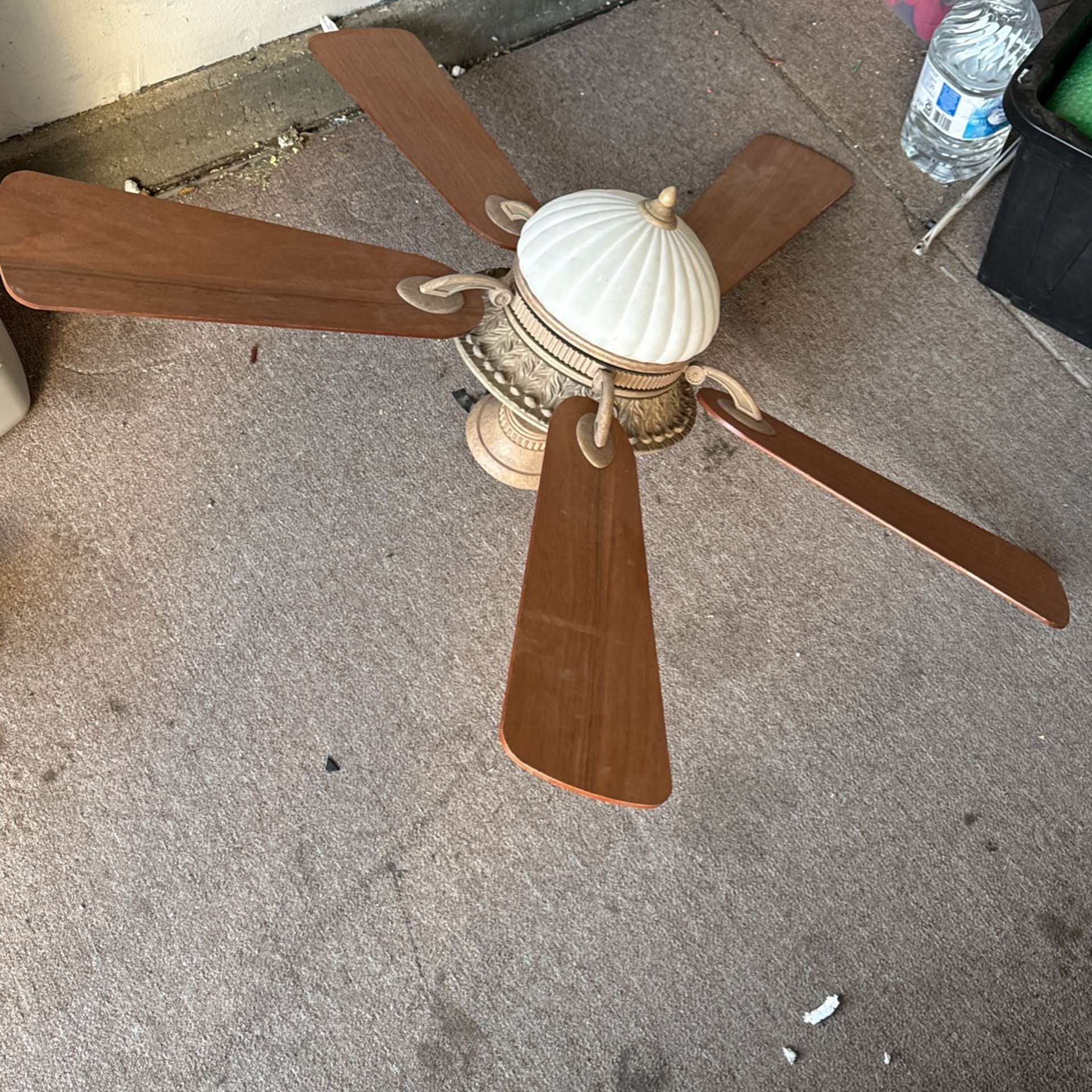Fan