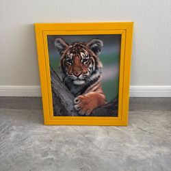 Cuadro De Tigre 