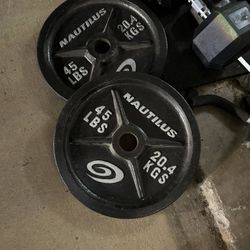 45 Pound Olympic Plates
