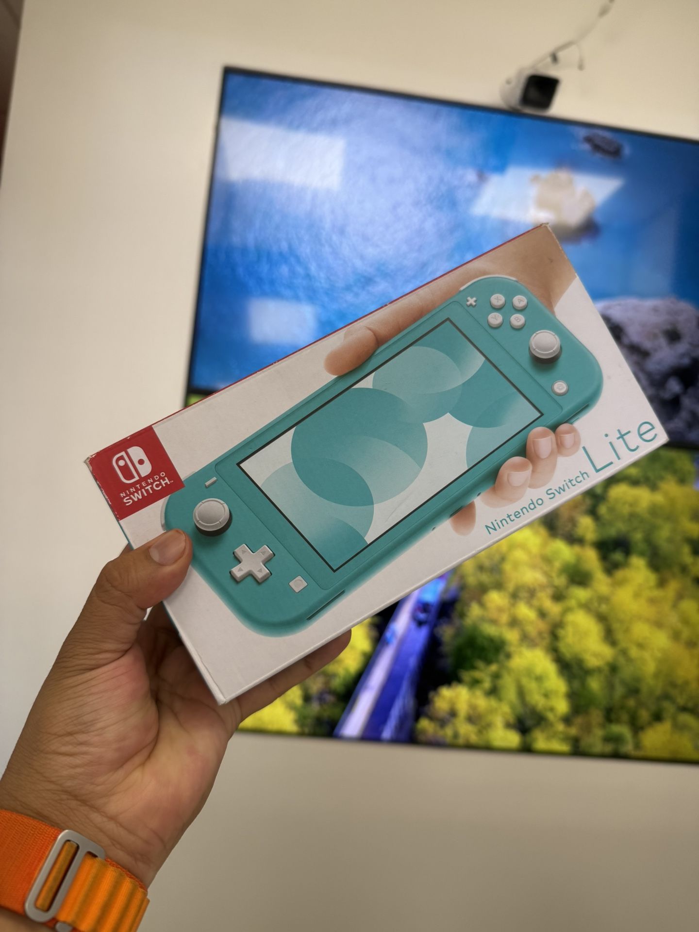 Nintendo Switch Lite
