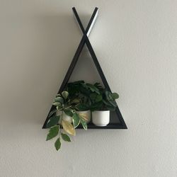 Wall Shelf And Fake Plants MOVING SALE