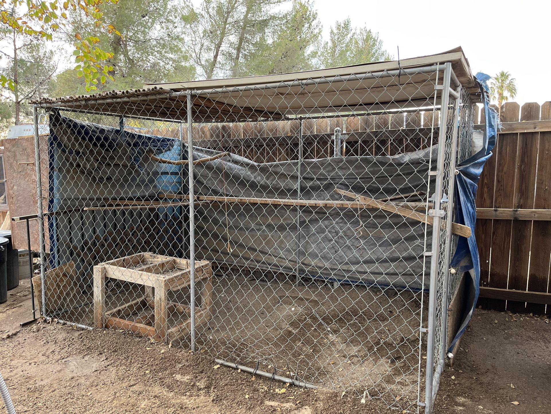 Chain Link Kennel 