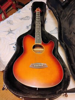 Ibanez Acoustic-Electric Guitar with Hard Case
