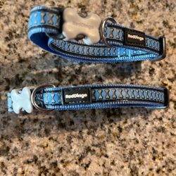 2 Small Dog Collars.