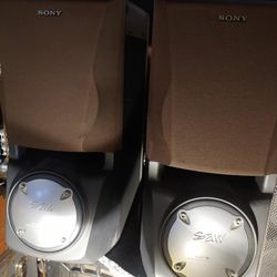 Sony Acoustic Subs