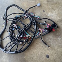 Drive By Cable Stand Alone Harness
