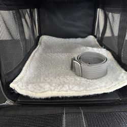 Like New Dog Carrier 