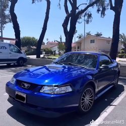 2000 Ford Mustang