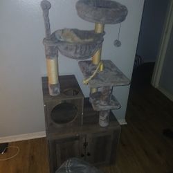 Cat House 