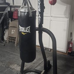 PunchBag With Speed Bag
