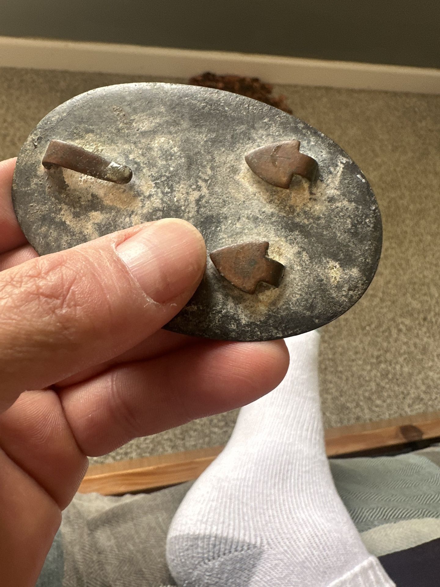 Dug Up In Goldsboro Nc.