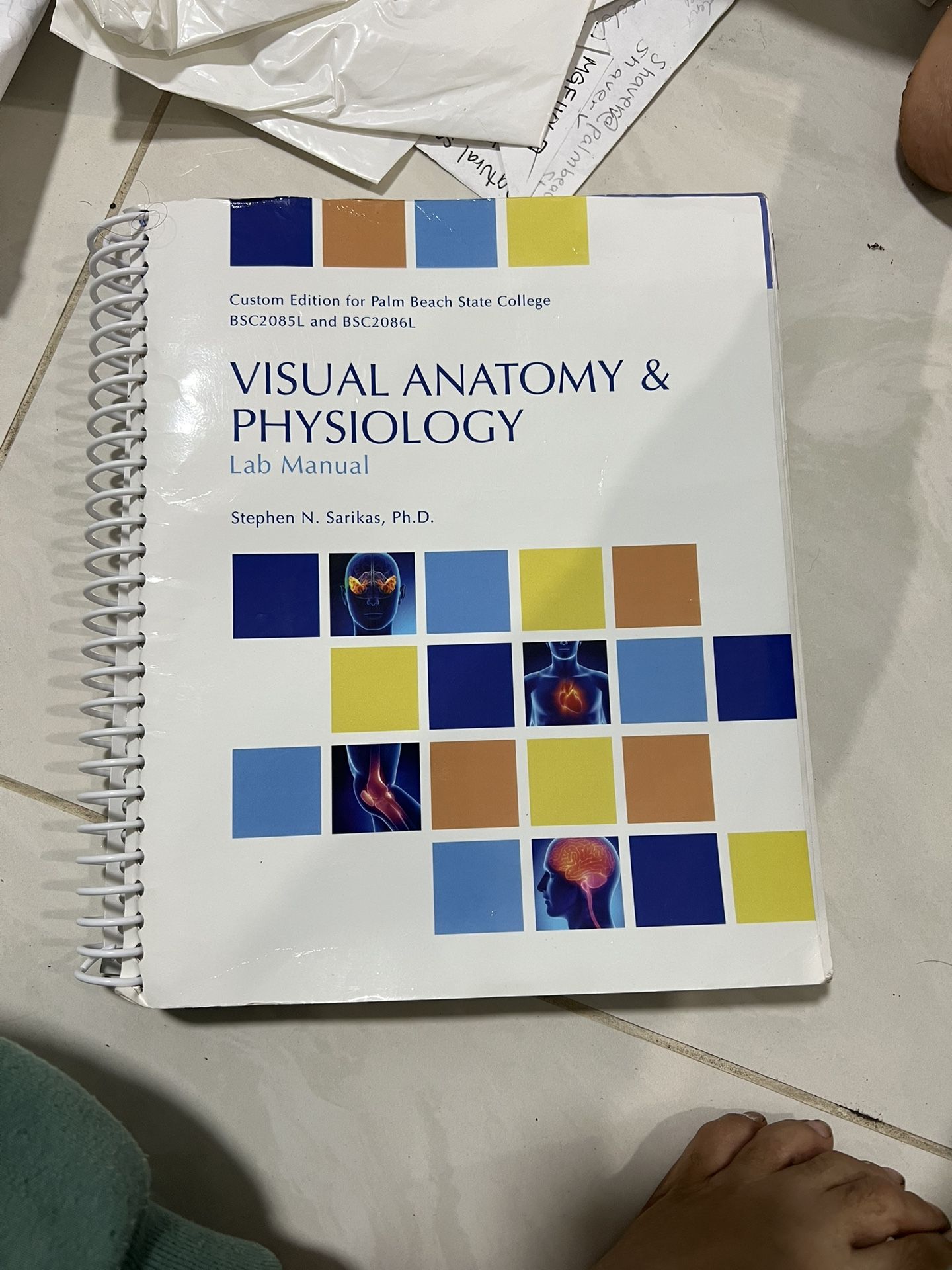 PBSC College Anatomy& Physiology  Book 