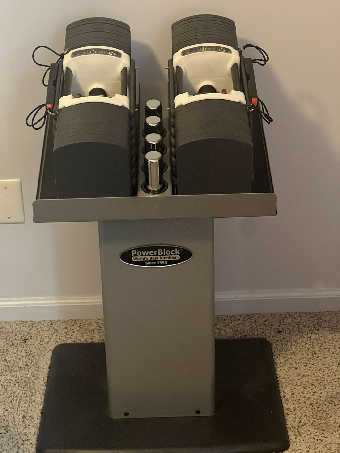 PowerBlock Pro 100 With Stand