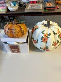 Two fall pumpkins