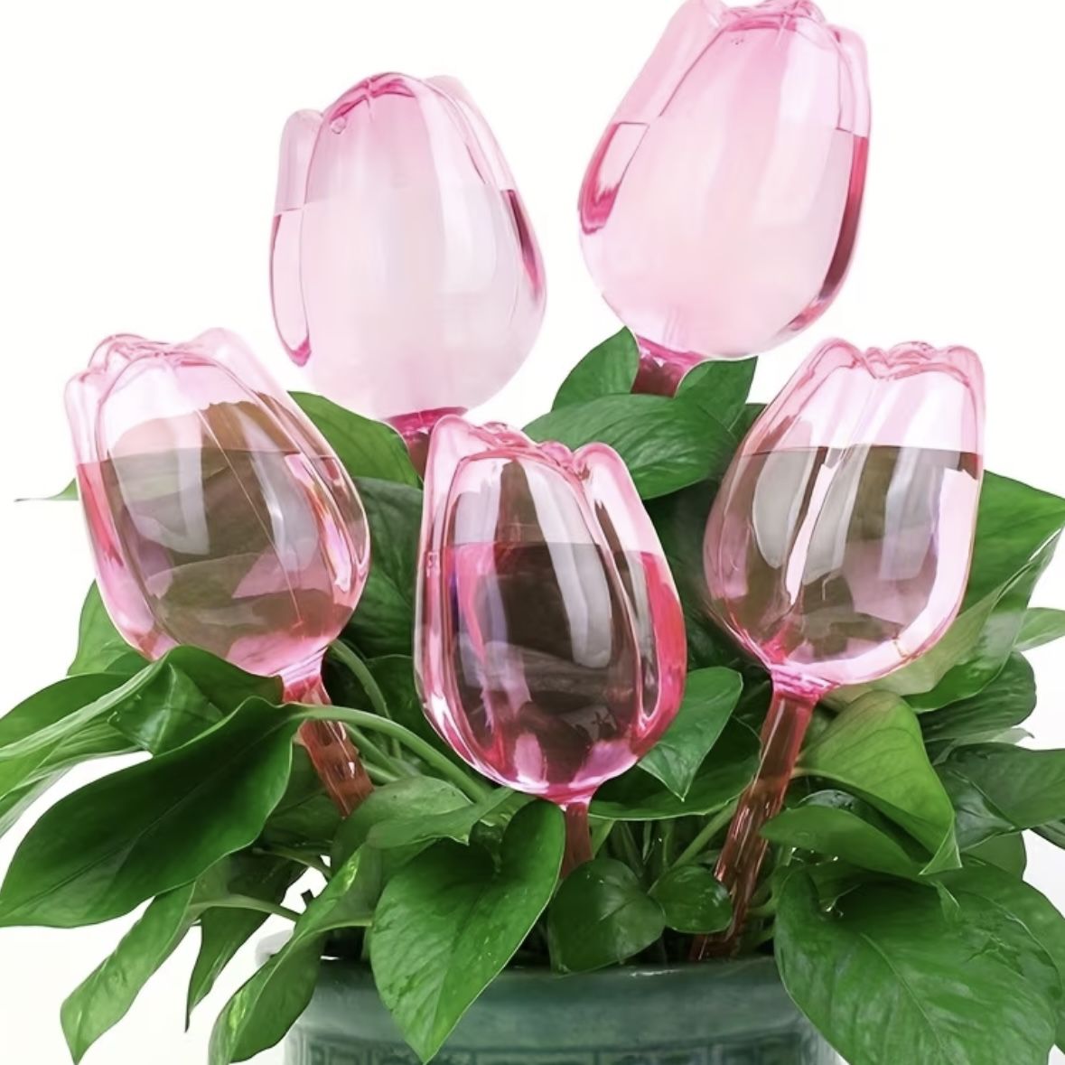 5-Pack Tulip-Shaped Plant Watering Globes with Narrow Nozzle Slow-Drip Design, Automatic Self-Sustai