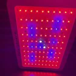 LED GROW LIGHT