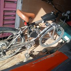 Motorized Gas Bike 