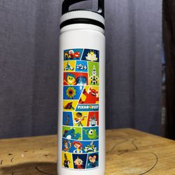 Disney Pixar Fest Water Bottle