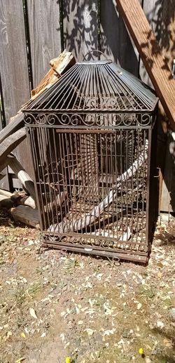 Large reptile bird cage