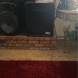 12 Inch DJ Speaker 