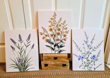New - Set of 3 Botanical  wall Canvases.  Firm on price. Size 12" W x 15 5H