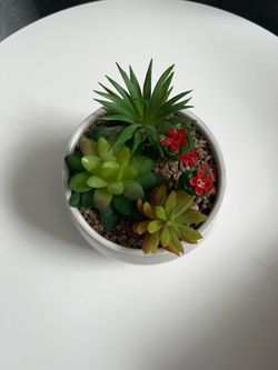 Artificial Succulent Arrangement in White Pot