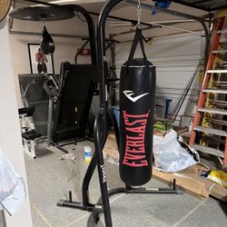 Everlast Punching Bag Whit Speed Bag