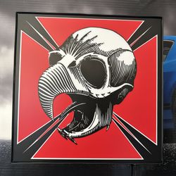 Tony Hawk Skateboards 