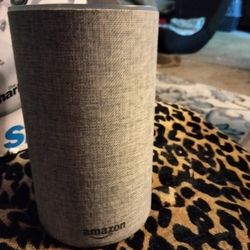 Amazon Echo With Enhanced Sound