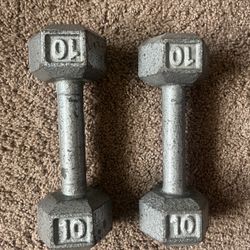 10 lbs Dumbbells