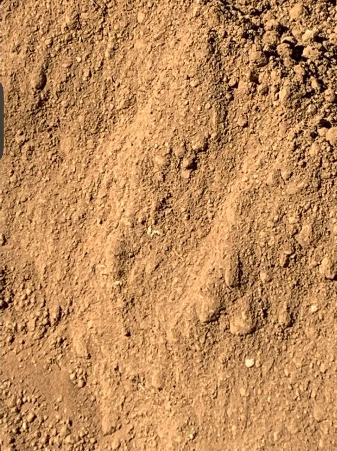 Dirt