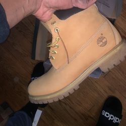 Timberland Size 13