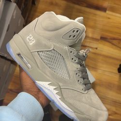 Wolf Grey 5