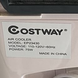 air cooler (Costway)