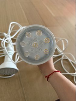 Two hanging light bulbs