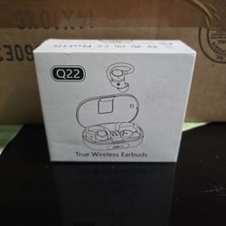 Q22 True Wireless Earbuds
