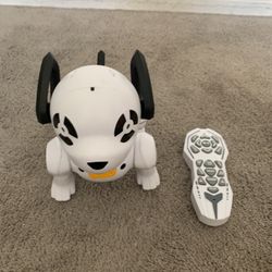 Robot Dog