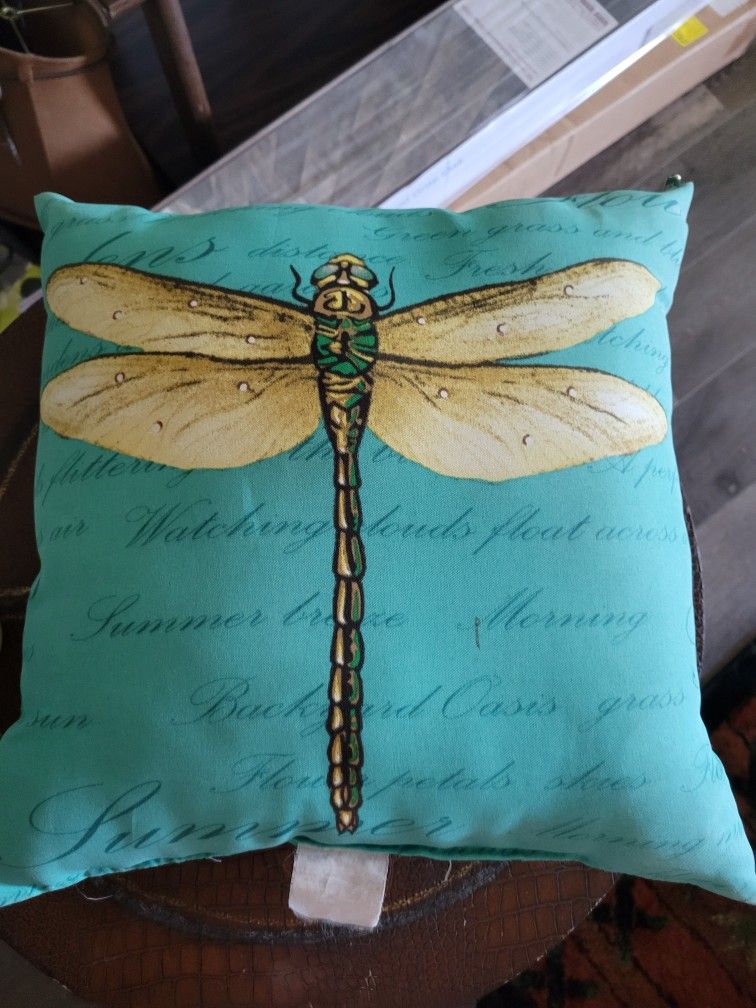 Dragon Pillow. For Porch ...outside Pillow