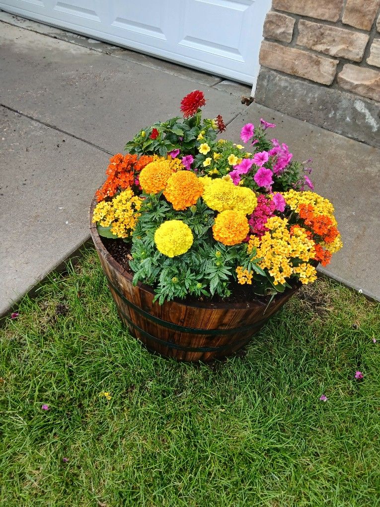 Flowers For A Happier World