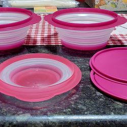 Tupperware Flat Outs
