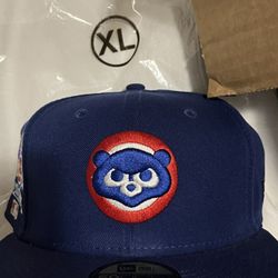 Cubs Fitted